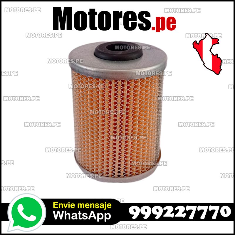 Filtro de combustible para motor 25LD330 LOMBARDINI KOHLER 21752050 ...